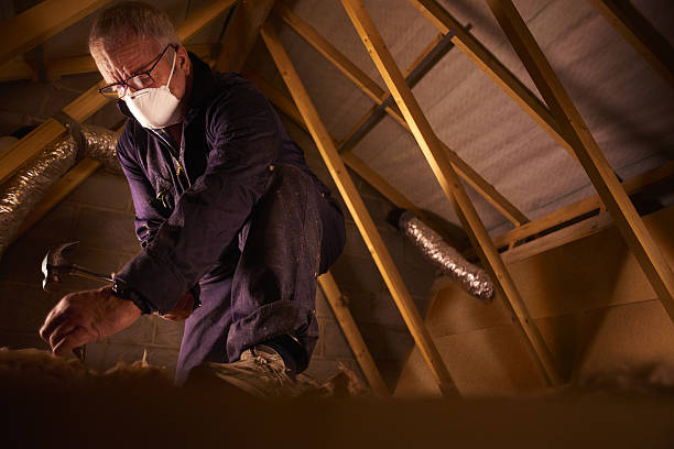 Best Cellulose Insulation in Liolnton, NC